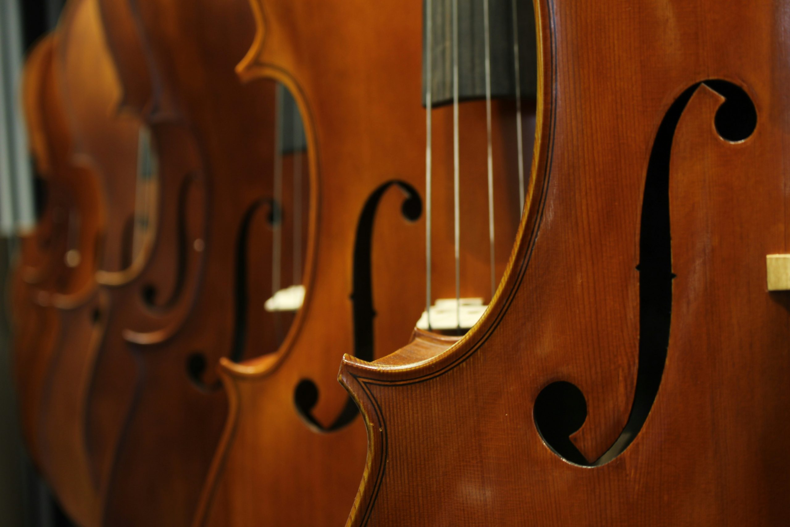 ES_Particulares09_InstrumentosMusicais